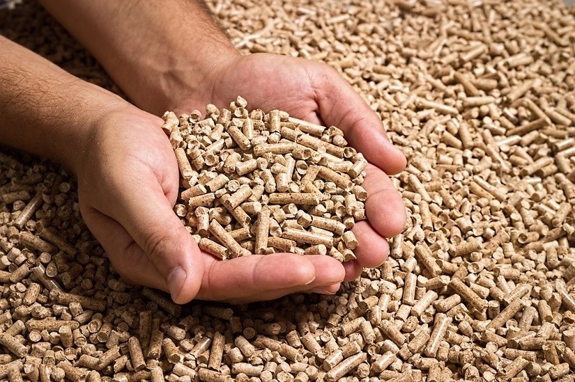 main-pleine-de-granules-pellets